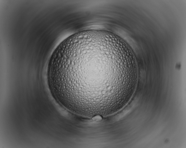 X0000103501426200809121728