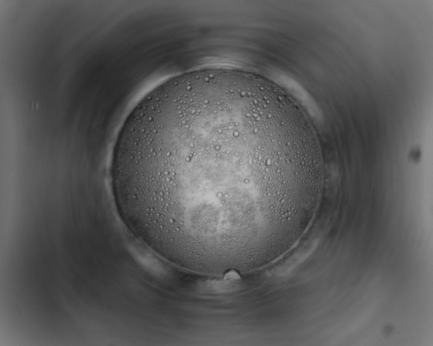 X0000103501427200809121728