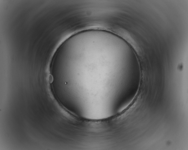 X0000103501428200809121728