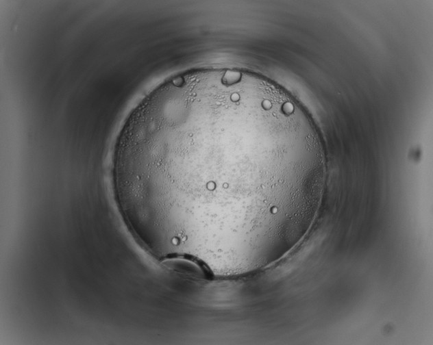 X0000103501429200809121728