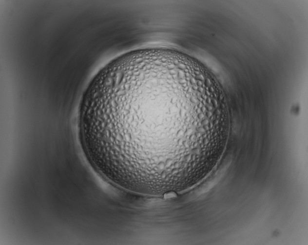 X0000103501430200809121728