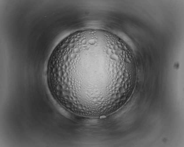 X0000103501431200809121728