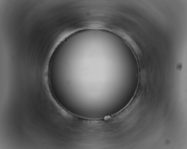 X0000103501432200809121728