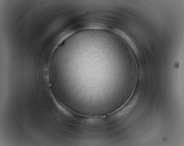 X0000103501433200809121728