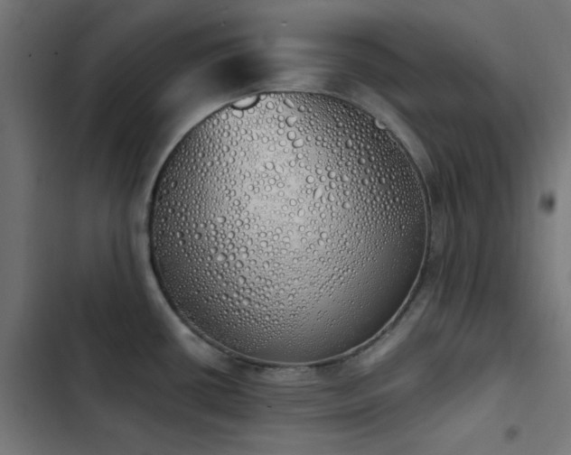 X0000103501434200809121728