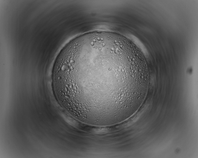 X0000103501435200809121728