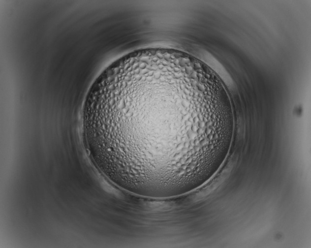 X0000103501436200809121728