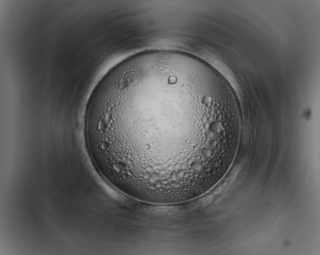 X0000103501437200809121728