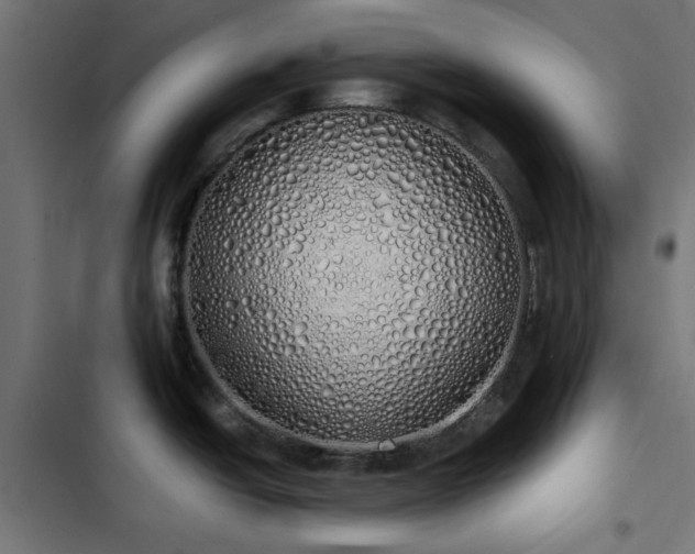 X0000103501438200809121728