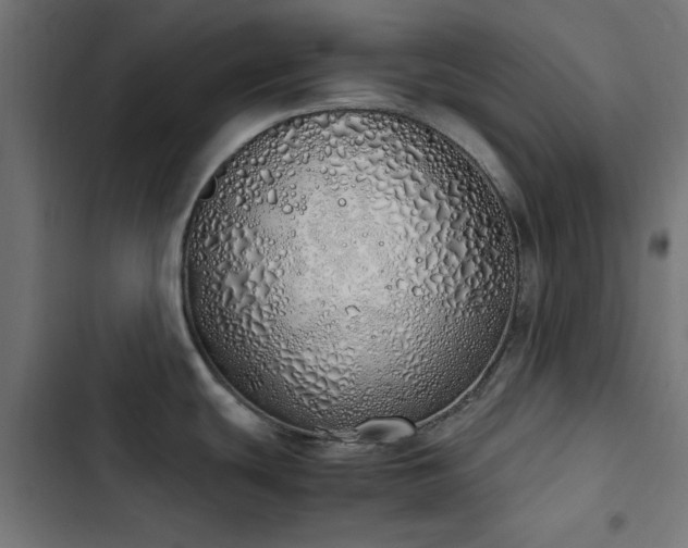 X0000103501439200809121728