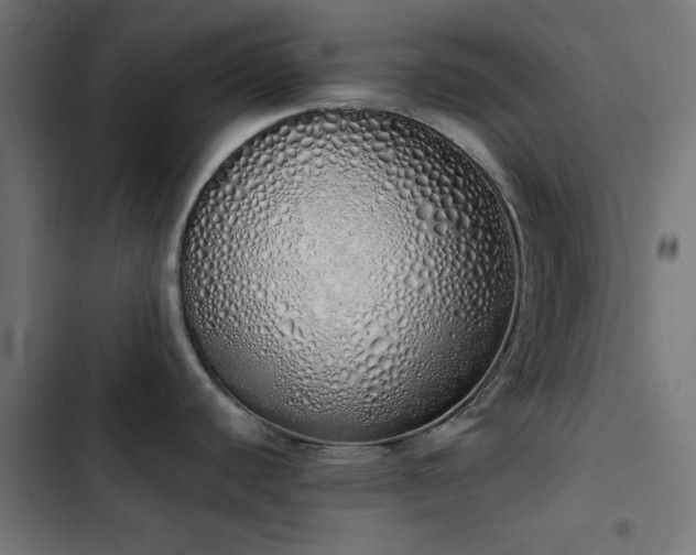 X0000103501440200809121728