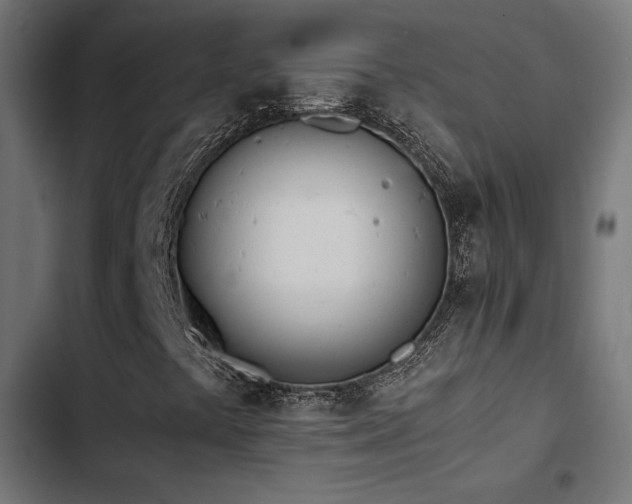 X0000103501441200809121728