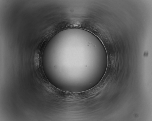 X0000103501442200809121728