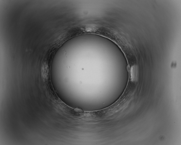 X0000103501443200809121727