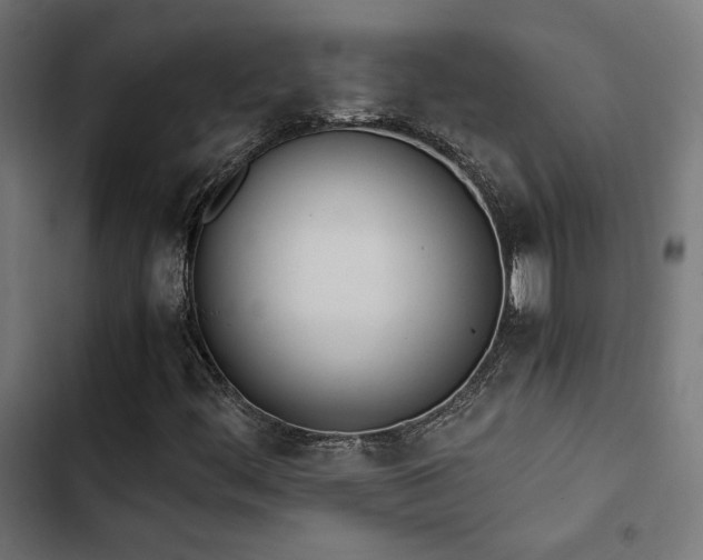 X0000103501444200809121727