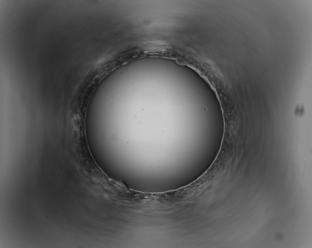 X0000103501445200809121727