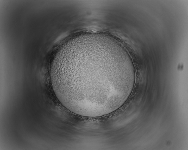 X0000103501446200809121727