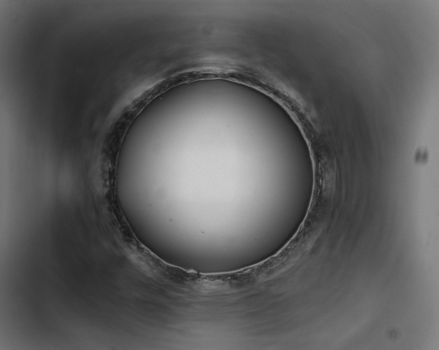 X0000103501448200809121727