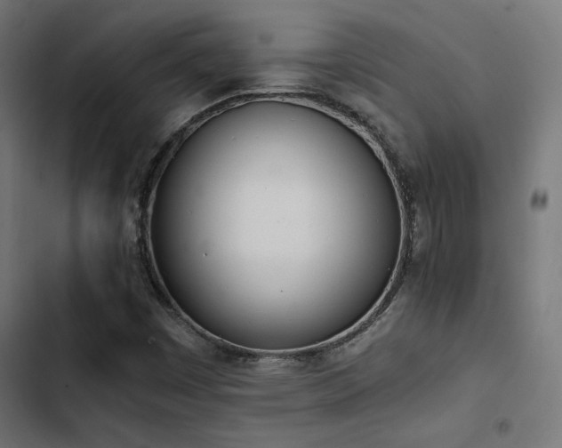 X0000103501449200809121727