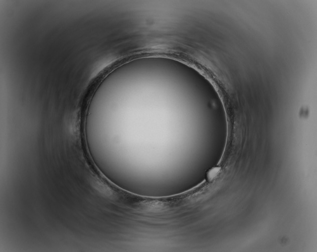 X0000103501450200809121727