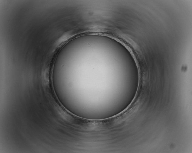 X0000103501451200809121727