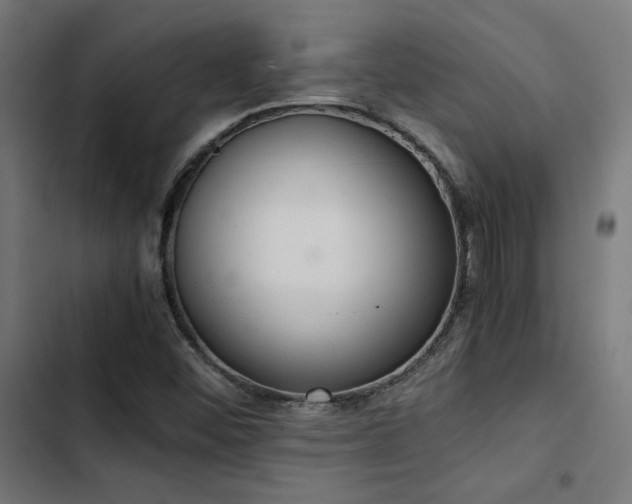 X0000103501452200809121727