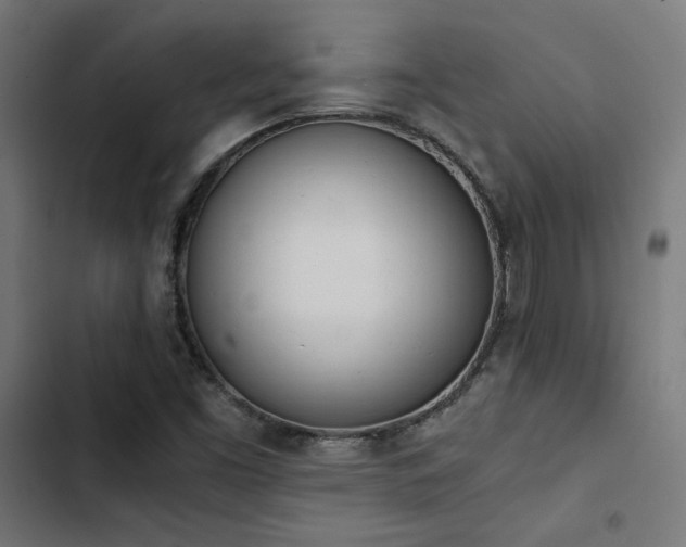 X0000103501453200809121727