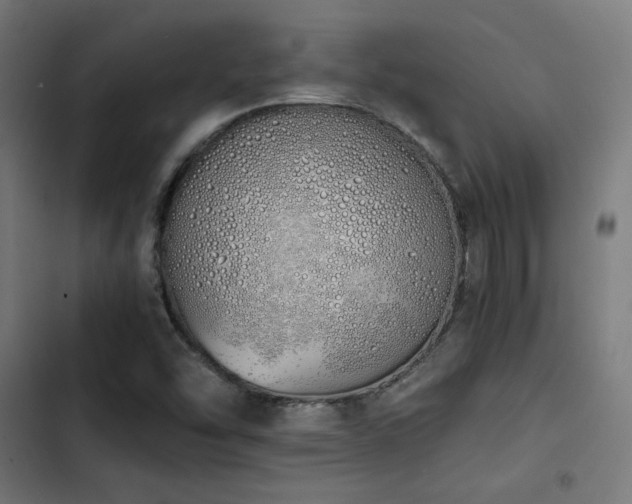 X0000103501454200809121727