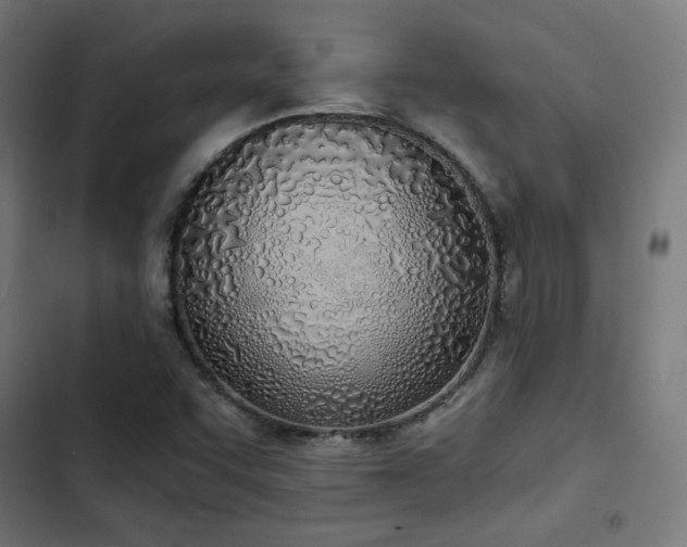 X0000103501455200809121727