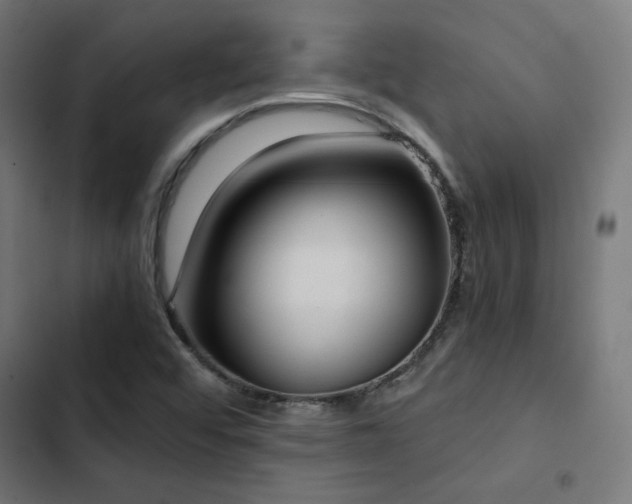 X0000103501456200809121727