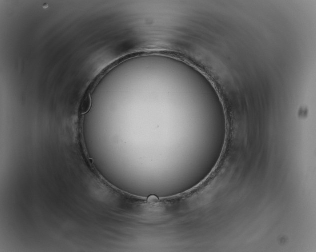 X0000103501457200809121727