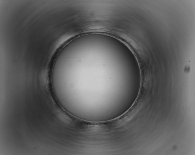 X0000103501458200809121727