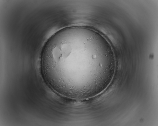 X0000103501459200809121727