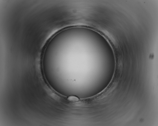 X0000103501460200809121727