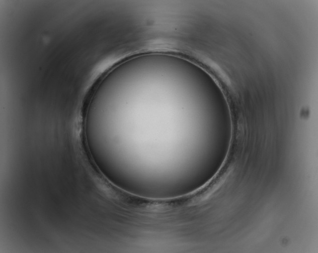 X0000103501461200809121727