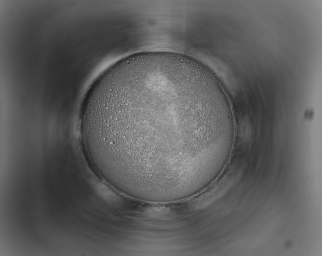 X0000103501462200809121727