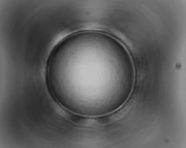 X0000103501463200809121727