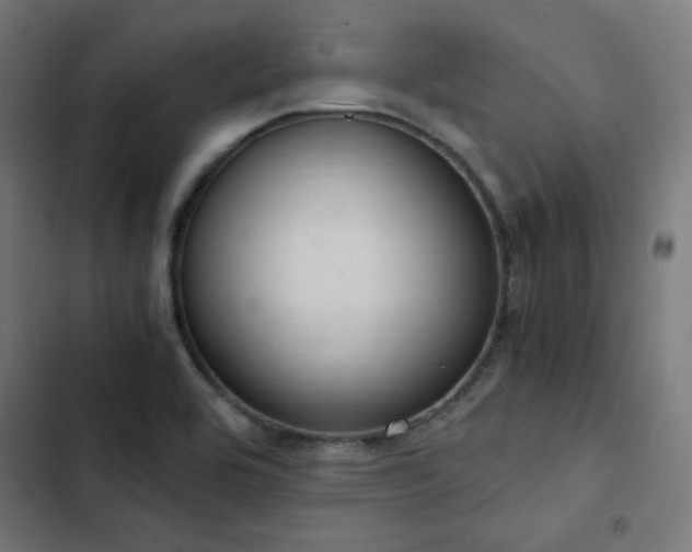 X0000103501464200809121727