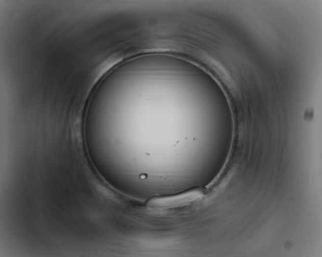 X0000103501465200809121727