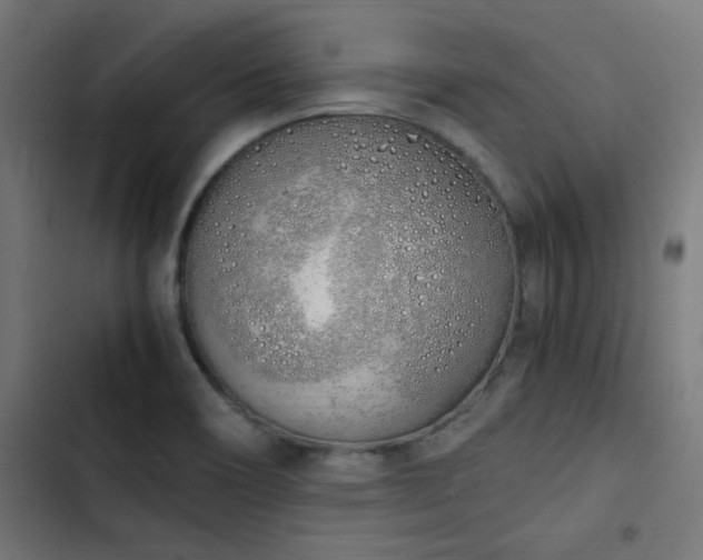 X0000103501466200809121727