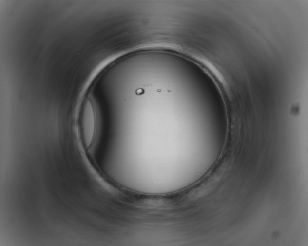 X0000103501468200809121727