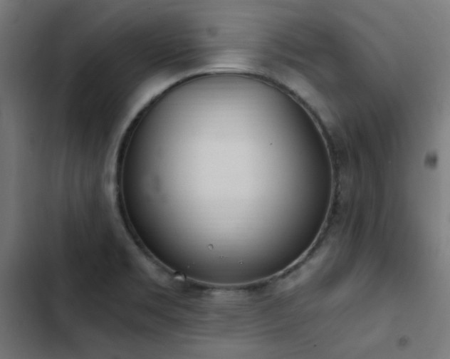 X0000103501469200809121727