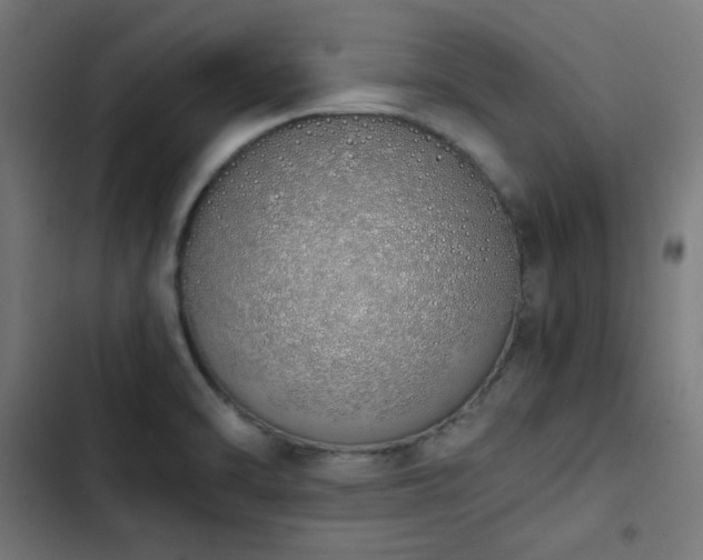 X0000103501470200809121727