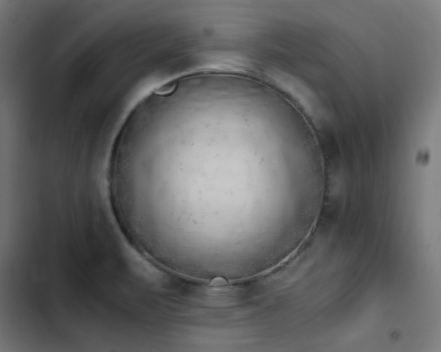 X0000103501471200809121727