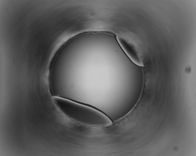 X0000103501472200809121727