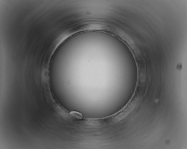 X0000103501473200809121727