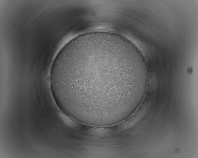 X0000103501474200809121727