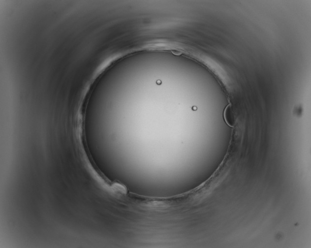 X0000103501476200809121727