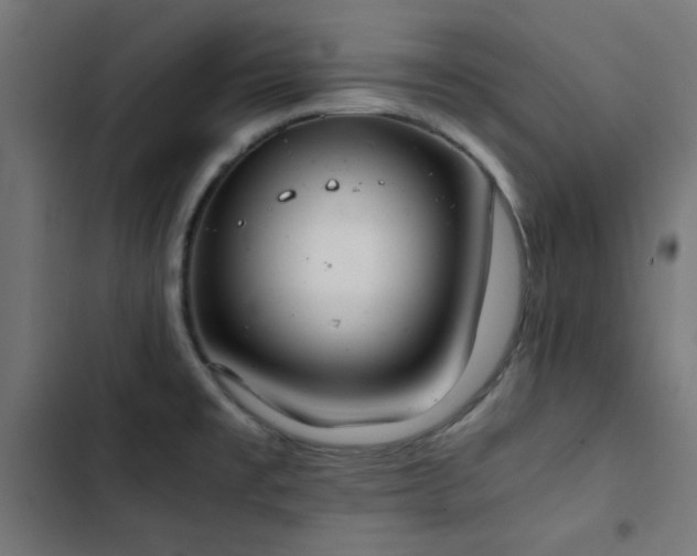 X0000103501477200809121727