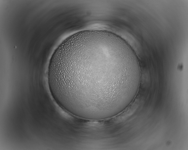 X0000103501478200809121727